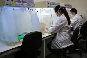 Estudo liga bactérias do intestino e da boca a traços de psicopatia