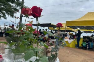 Expoflor chega à 27ª edição em Maringá com mais de 500 espécies de flores e plantas