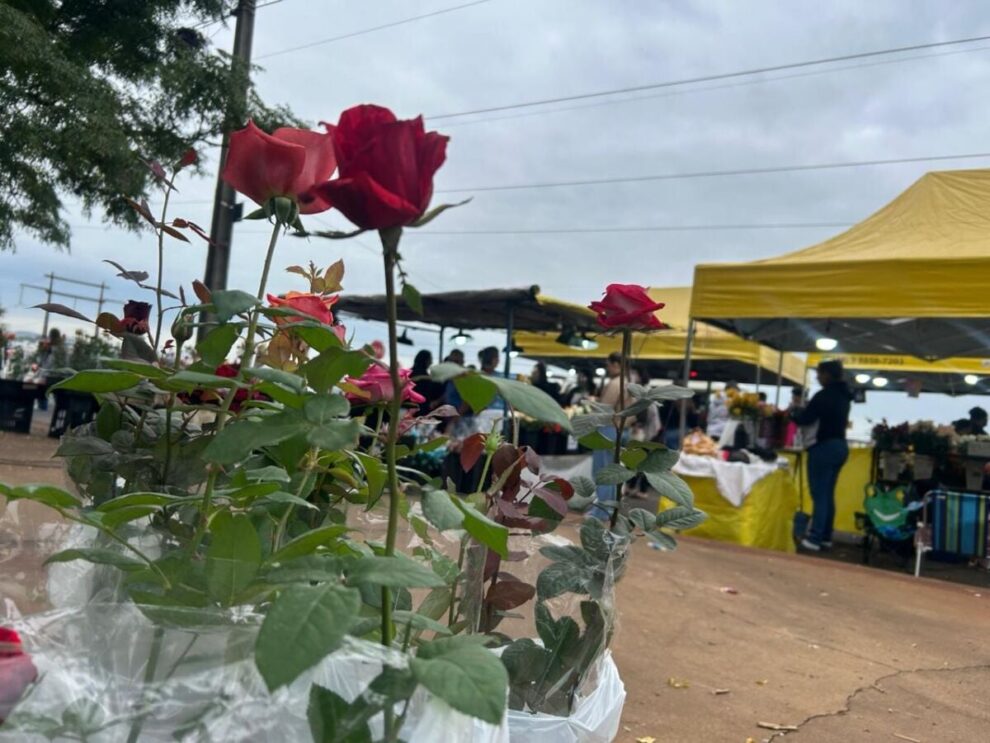 Expoflor chega à 27ª edição em Maringá com mais de 500 espécies de flores e plantas