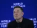 Ficando para trás na IA, Musk admite que "não está habituado a perder"