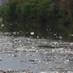 Grande volume de lixo flutuando no rio Pinheiros chama atenção após forte chuva em SP