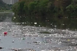 Grande volume de lixo flutuando no rio Pinheiros chama atenção após forte chuva em SP