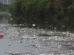 Grande volume de lixo flutuando no rio Pinheiros chama atenção após forte chuva em SP