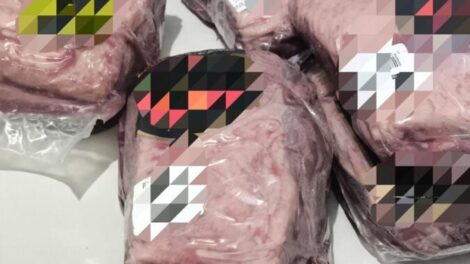 Guarda Civil de Maringá prende homem suspeito de receptar carnes furtadas de supermercado
