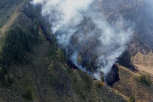 Incêndios fecham escolas e mobilizam 48 mil bombeiros na Indonésia