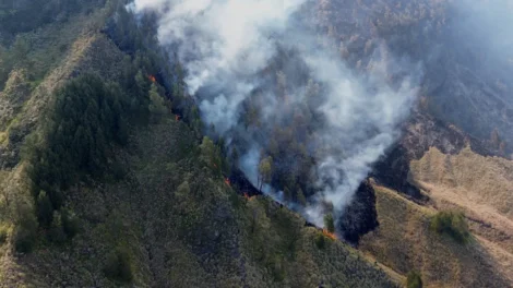 Incêndios fecham escolas e mobilizam 48 mil bombeiros na Indonésia