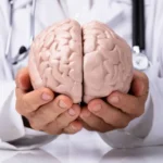 Longevidade cognitiva: como a alimentação influencia a saúde cerebral
