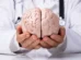 Longevidade cognitiva: como a alimentação influencia a saúde cerebral