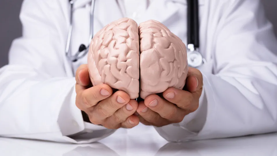 Longevidade cognitiva: como a alimentação influencia a saúde cerebral