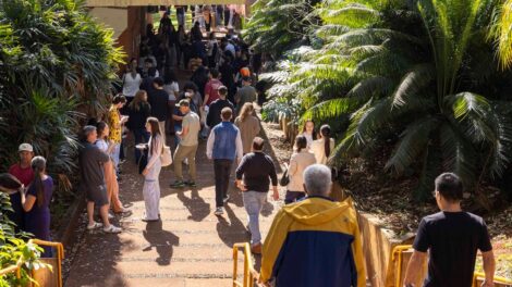 Medicina concentra as 10 maiores notas do Vestibular de Inverno da UEM