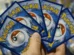 Menino de 11 anos perde quase R$ 160 mil em golpe com cartas de Pokémon