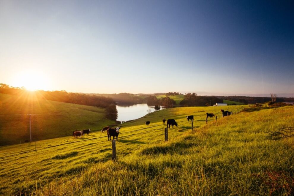 Mudança no licenciamento ambiental impacta produção agrícola e pecuária