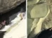 Mulher perde controle em toboágua natural e se choca contra pedras nos EUA