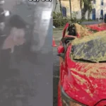 Mulher se desespera ao ver família atingida por árvore