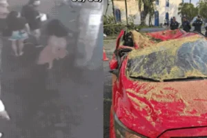 Mulher se desespera ao ver família atingida por árvore