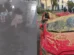 Mulher se desespera ao ver família atingida por árvore