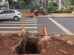 Nova lei reforça exigência para recomposição de calçadas danificadas após obras em Maringá