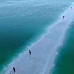 O Mar Morto está voltando à vida – Isso é um mau sinal?