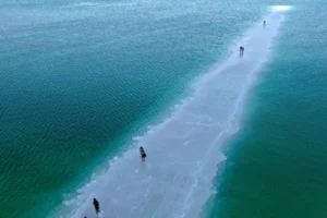 O Mar Morto está voltando à vida – Isso é um mau sinal?