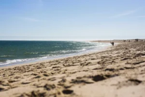 Oceanos batem recorde de calor em julho e Europa enfrenta seca extrema