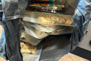 Operação da Polícia Civil apreende pacotes de cogumelos alucinógenos em tabacaria de Maringá