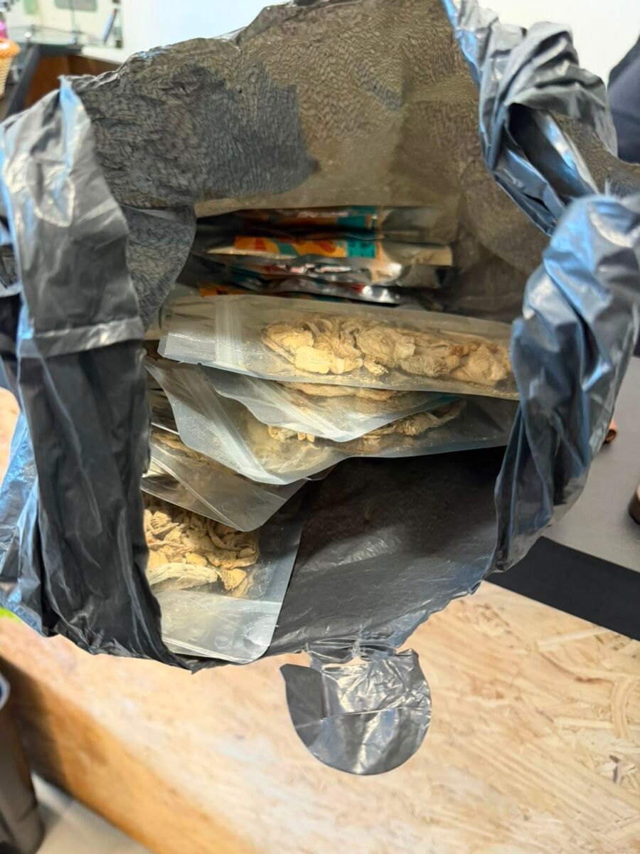 Operação da Polícia Civil apreende pacotes de cogumelos alucinógenos em tabacaria de Maringá