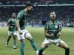 Palmeiras decide vaga na Libertadores no Paraguai para evitar feito que não ocorre há 17 anos