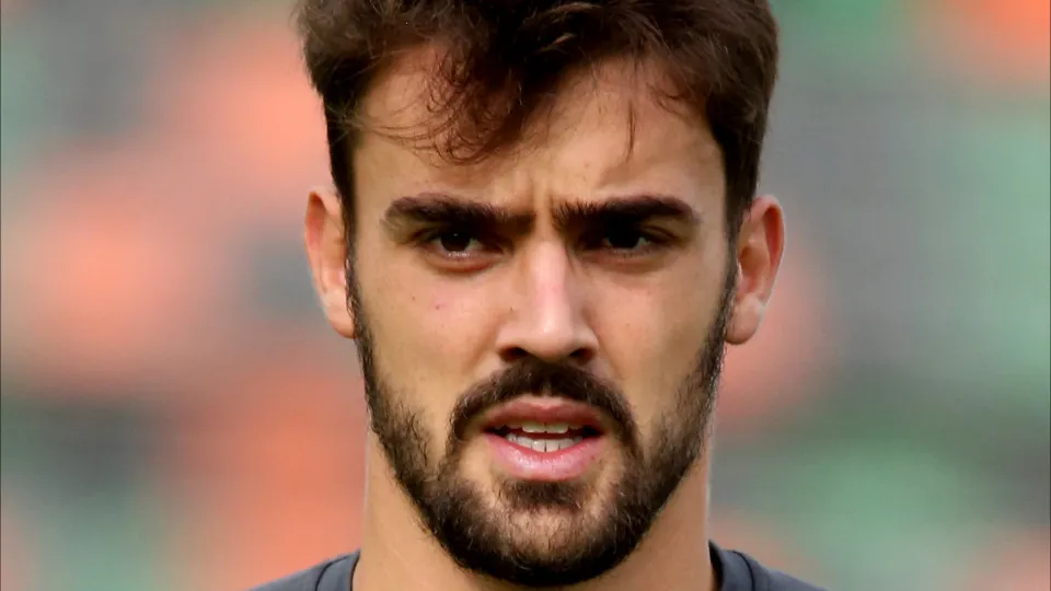 Palmeiras traz goleiro da Portuguesa e Tiquinho Soares volta ao Botafogo
