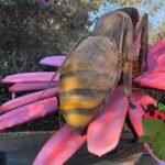 Parque do Ingá recebe a exposição ‘Primavera Encantada: Natureza Gigante’ a partir de 25 de setembro