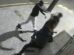 Polícia Civil divulga imagens de suspeitos de agredirem casal para realizar furto de bolsa em Maringá; VÍDEO