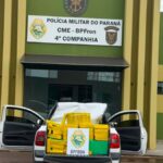 Polícia Militar prende homem que transportava mais de 800 quilos de maconha na região