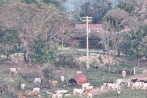 Procurados, Buscariollos tentaram fugir de operação da Polícia Civil; drone flagrou a ação