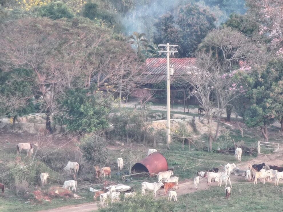 Procurados, Buscariollos tentaram fugir de operação da Polícia Civil; drone flagrou a ação