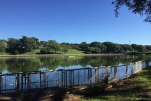 Projeto de lei quer proibir pesca extrativa no Buracão