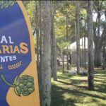 Prost! 9ª edição do Festival das Cervejarias Maringá vai contar com 54 torneiras
