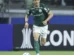 R$508M: Titular do Palmeiras recebe oferta para deixar o clube