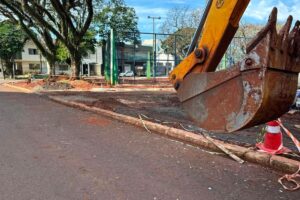 Remoção de tamareiras de praça em Maringá é levada ao Ministério Público