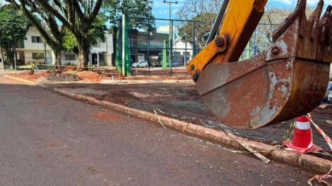 Remoção de tamareiras de praça em Maringá é levada ao Ministério Público