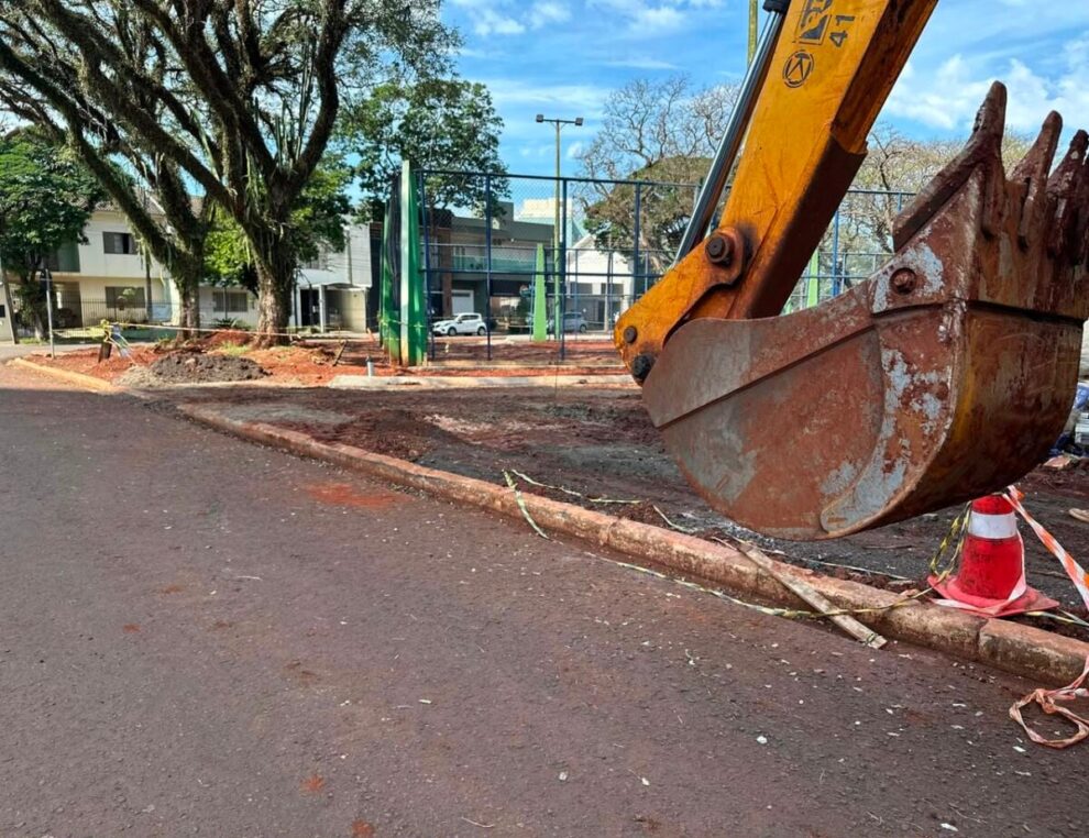 Remoção de tamareiras de praça em Maringá é levada ao Ministério Público