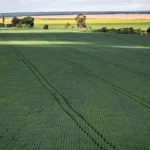 Senado aprova plano para fabricação de fertilizantes no Brasil
