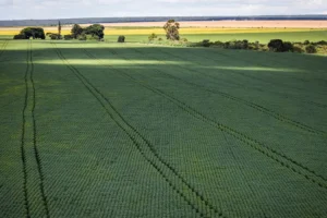 Senado aprova plano para fabricação de fertilizantes no Brasil