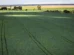 Senado aprova plano para fabricação de fertilizantes no Brasil