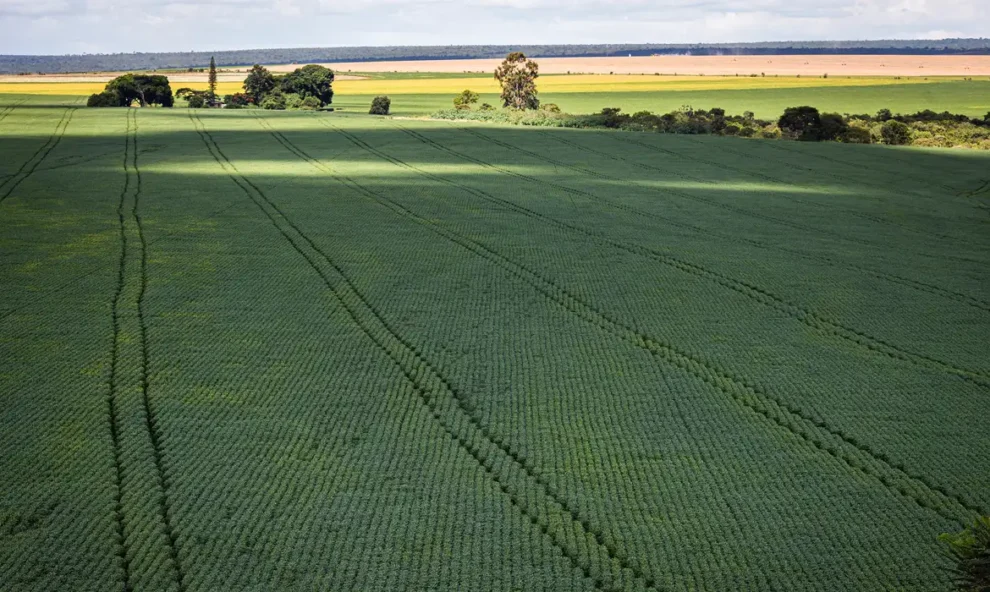 Senado aprova plano para fabricação de fertilizantes no Brasil