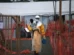 Surto de Ebola no Congo se espalha para duas novas zonas de saúde, afetando 60 áreas