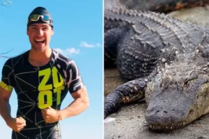Triatleta revela técnica bizarra que o salvou de jacaré durante treino