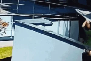 Vídeo mostra momento em que homens salvam bebê que caiu do quinto andar