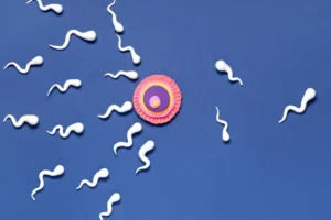 10 formas de melhorar a qualidade do esperma naturalmente