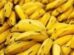 Banana-prata chega a R$ 90 o quilo nos EUA
