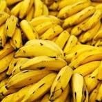 Banana-prata chega a R$ 90 o quilo nos EUA