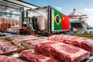 Brasil esgota cota de carne bovina para a China
